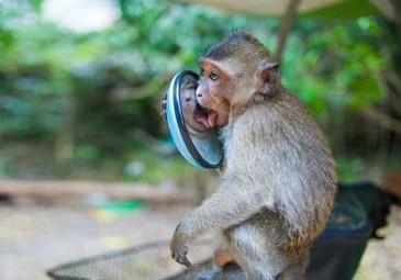 Hey Darwin! Wha happened?